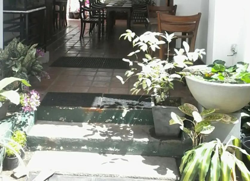기타 사진