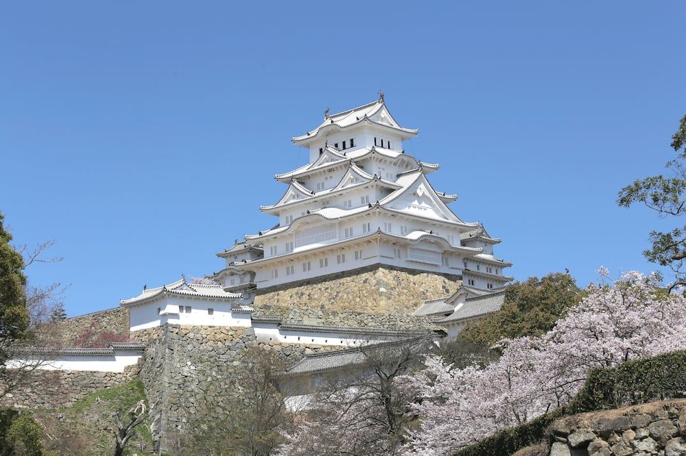 기타