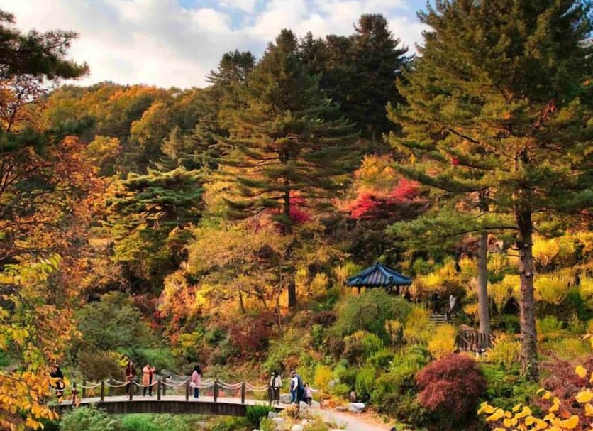 야외뷰 사진