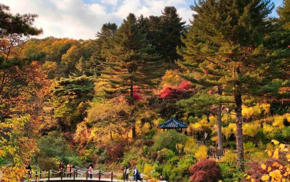 야외뷰 사진