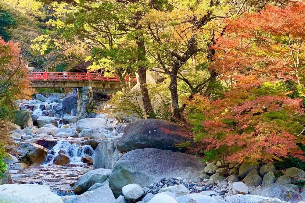 야외뷰