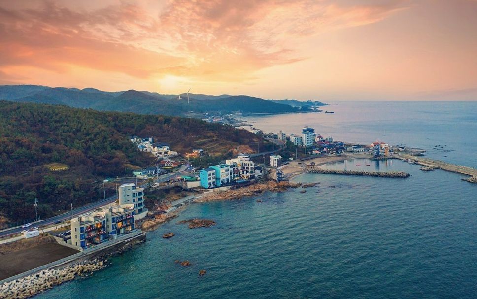 기타 사진