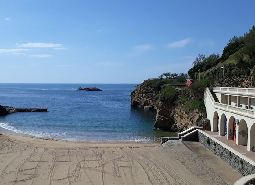 해변 사진