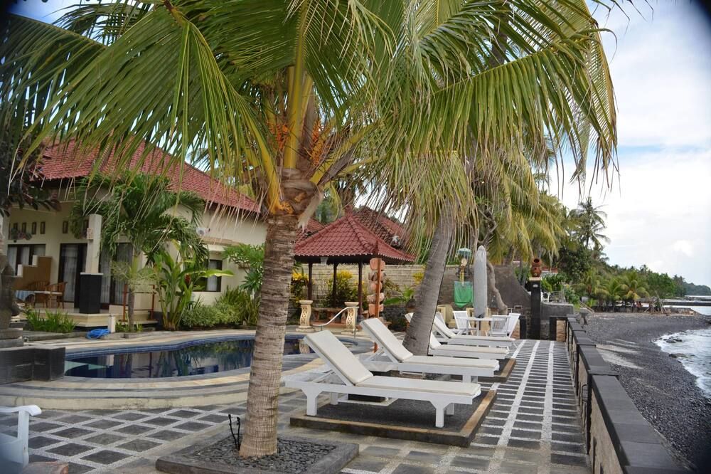 기타