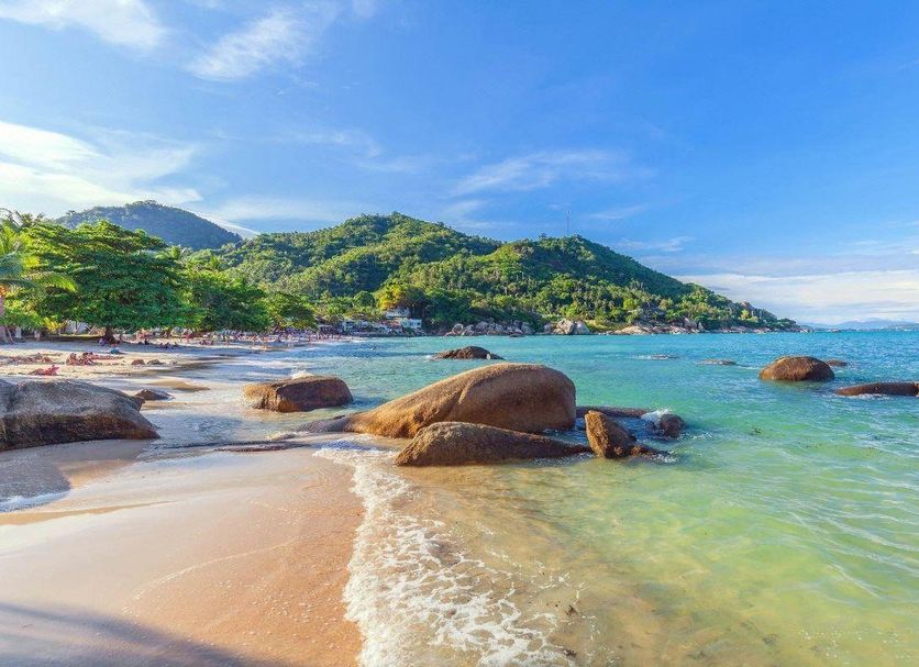 해변 사진
