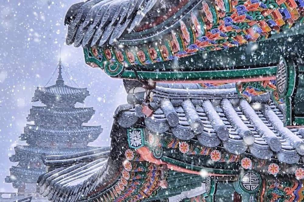 기타