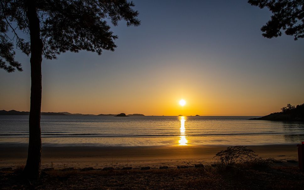 해변 사진