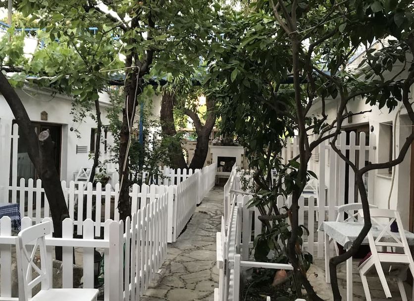 기타 사진