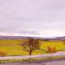 야외뷰