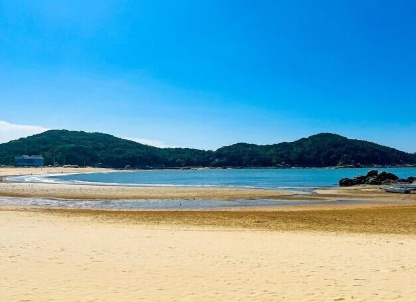 해변 사진