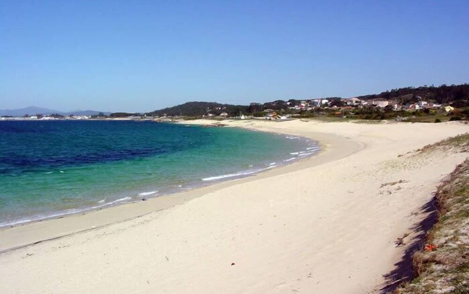 해변 사진