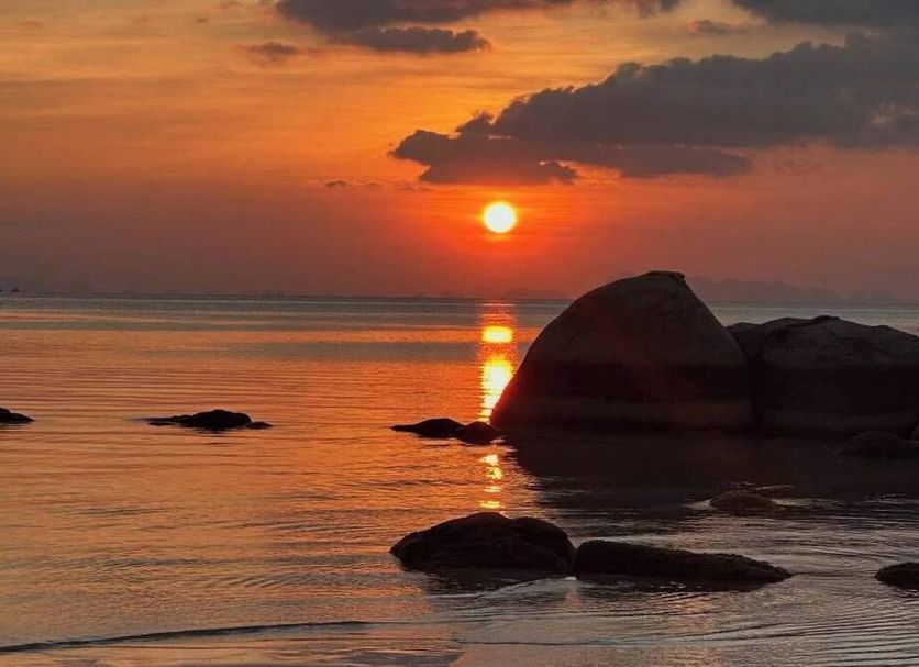 기타 사진