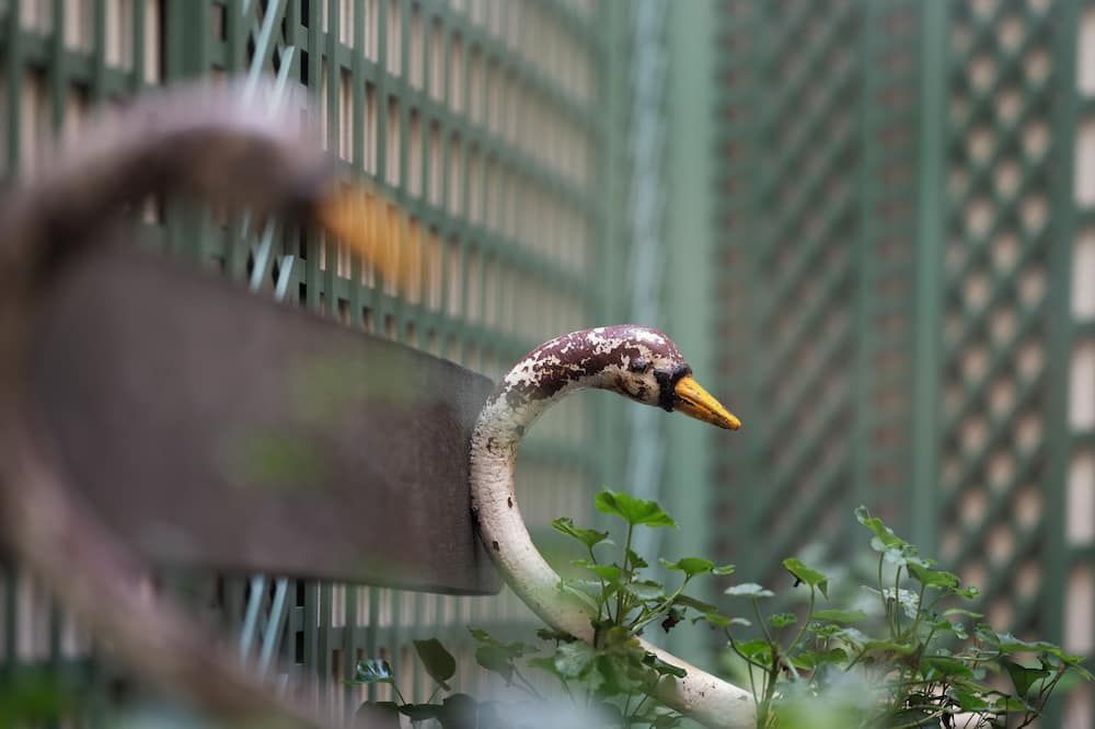 기타