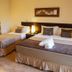 기타