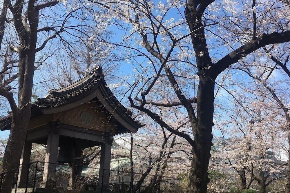 야외뷰