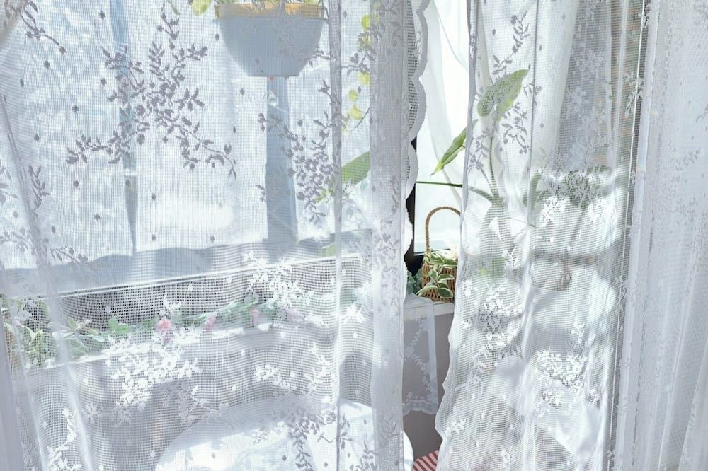 기타