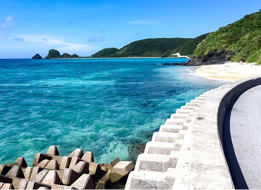 해변 사진