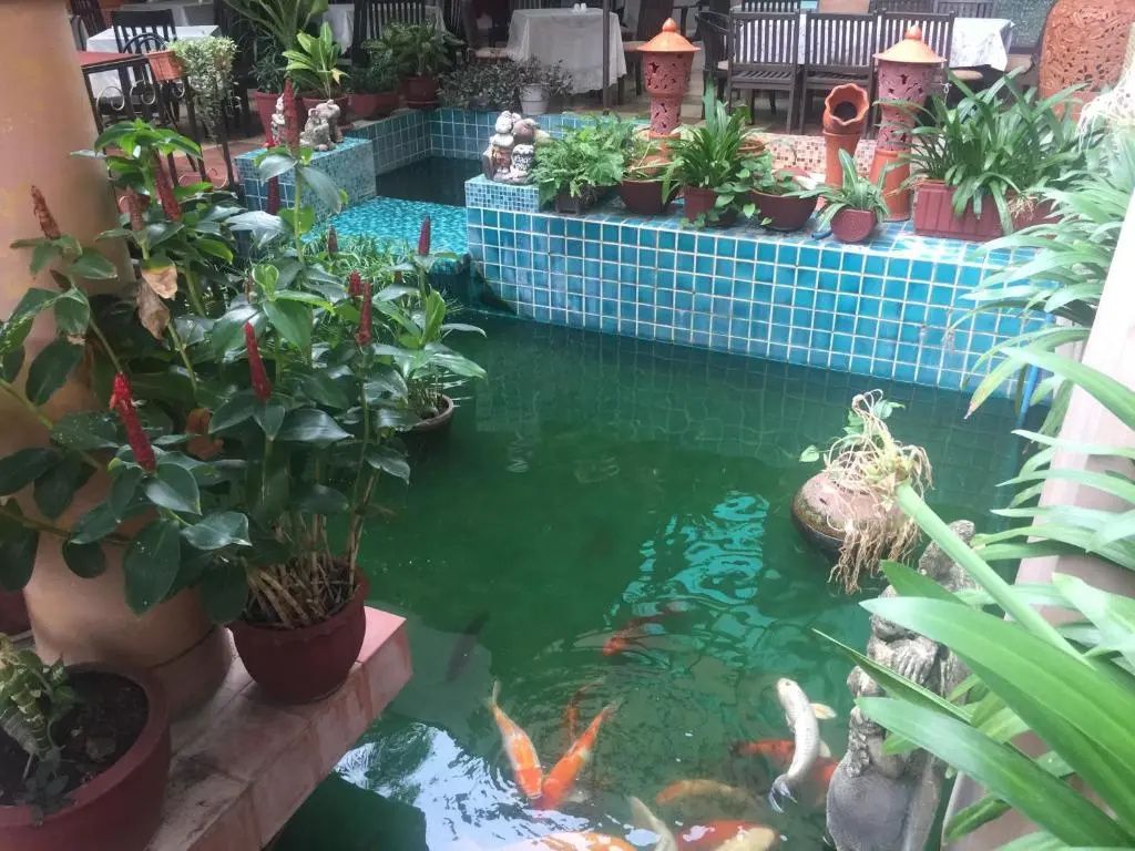 기타
