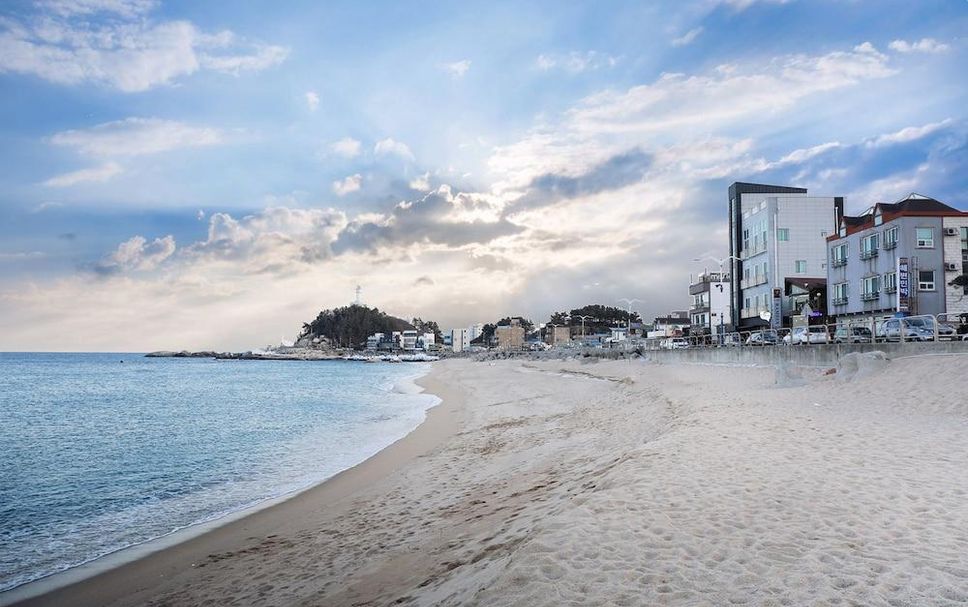 해변 사진