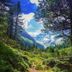 야외뷰