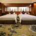 기타