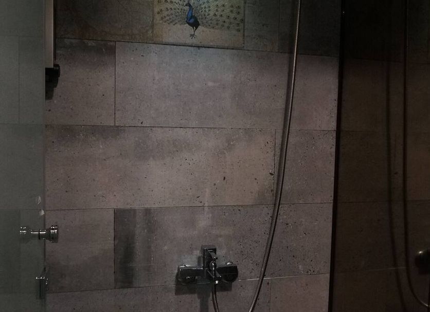 기타 사진