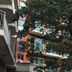 기타