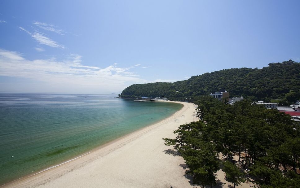 해변 사진