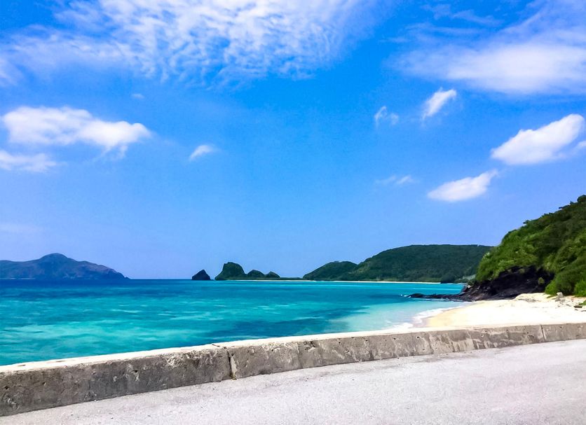 해변 사진