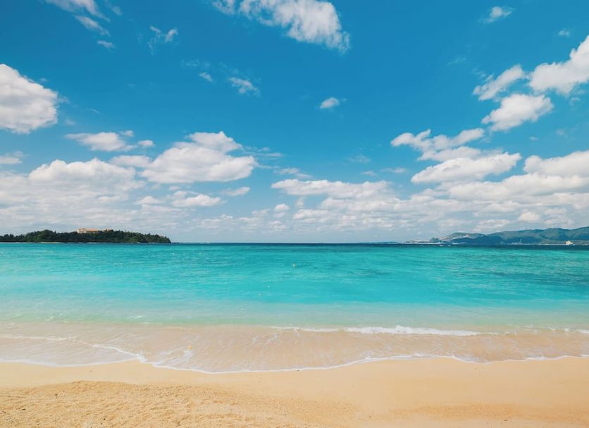 해변 사진