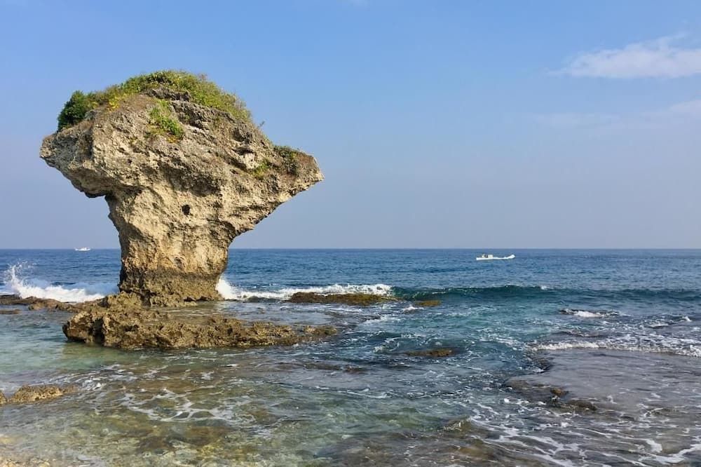 기타