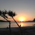 기타