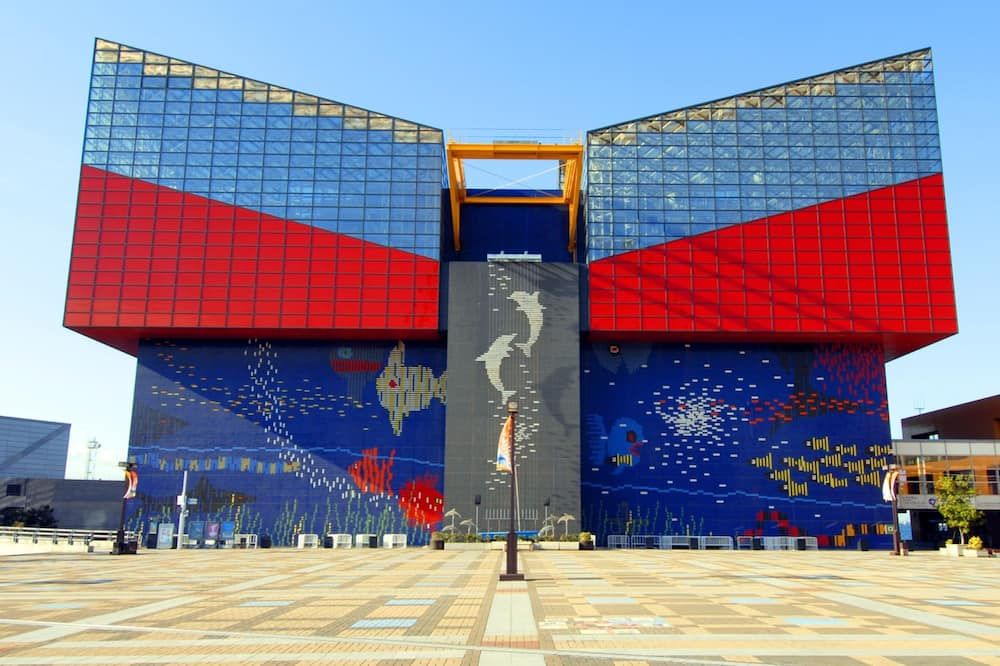 기타