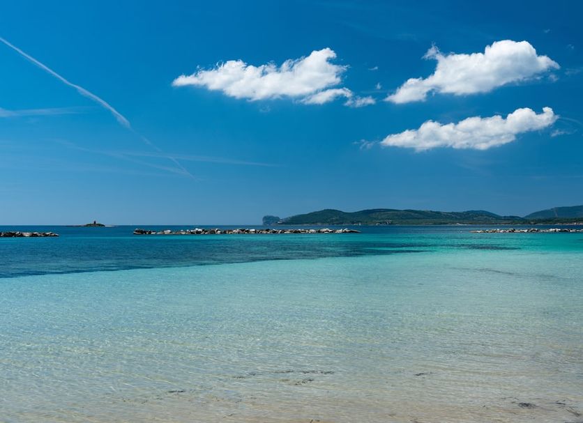 해변 사진