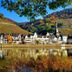 기타