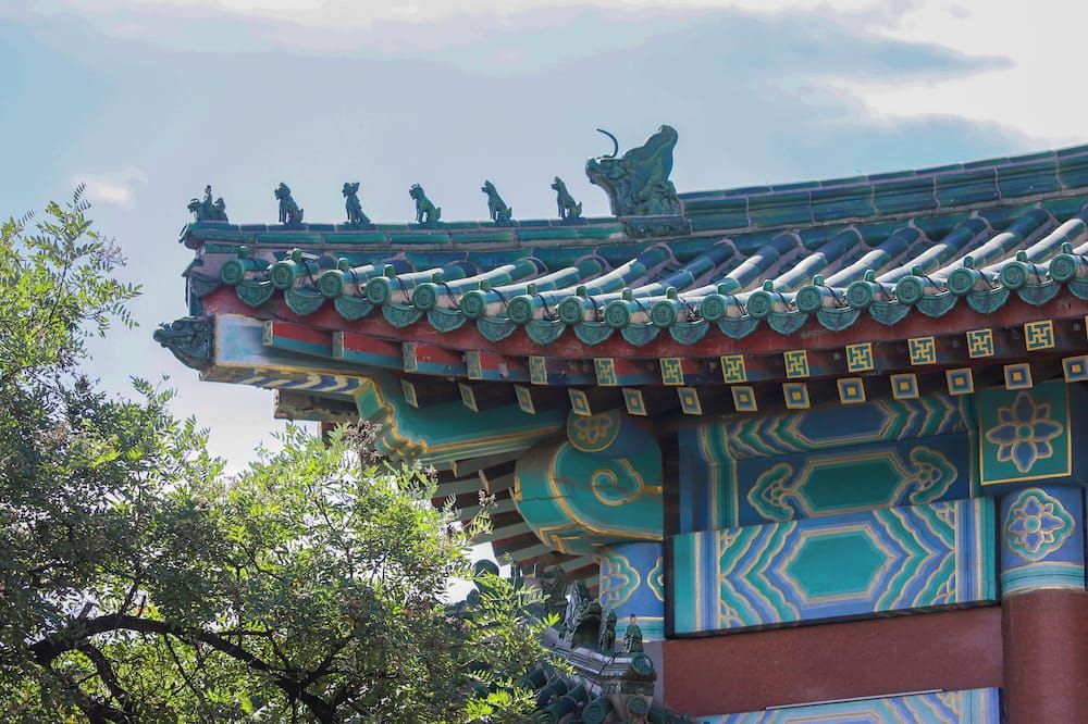기타