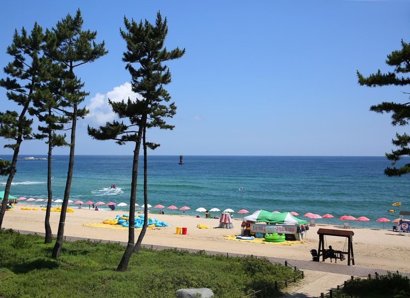 해변 사진