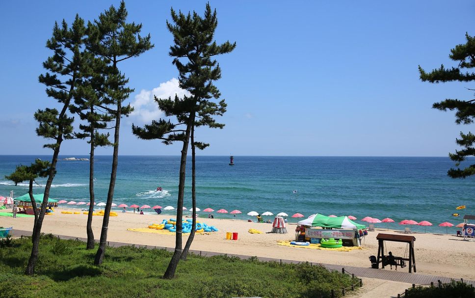 해변 사진
