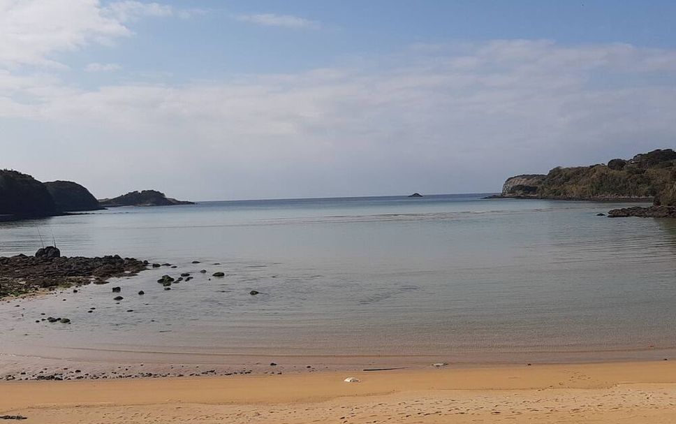 해변 사진