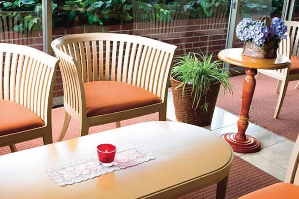 파티오