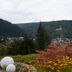 야외뷰