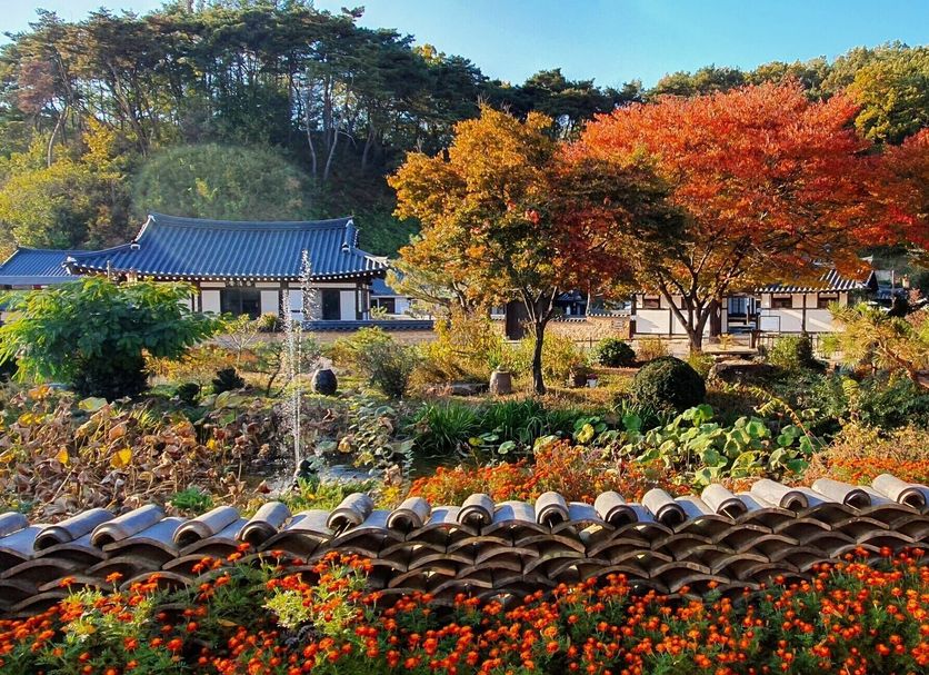 야외뷰 사진