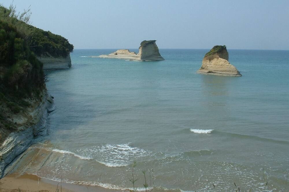 기타