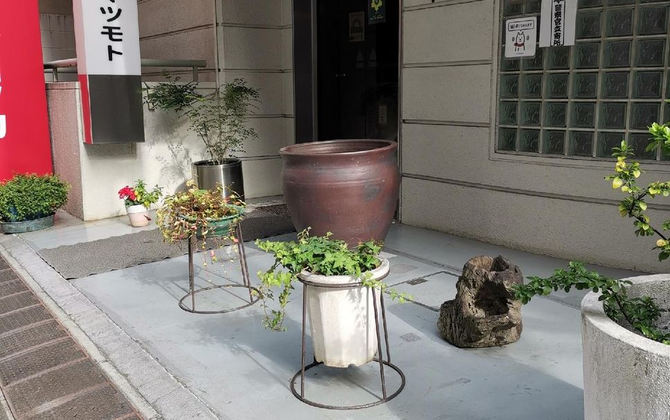 건물 사진