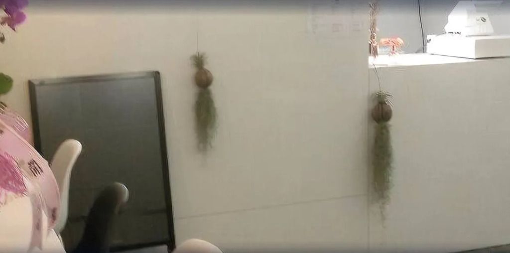 기타