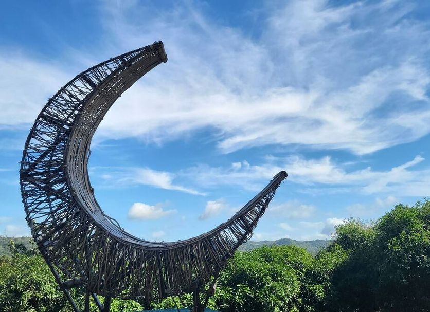 기타 사진
