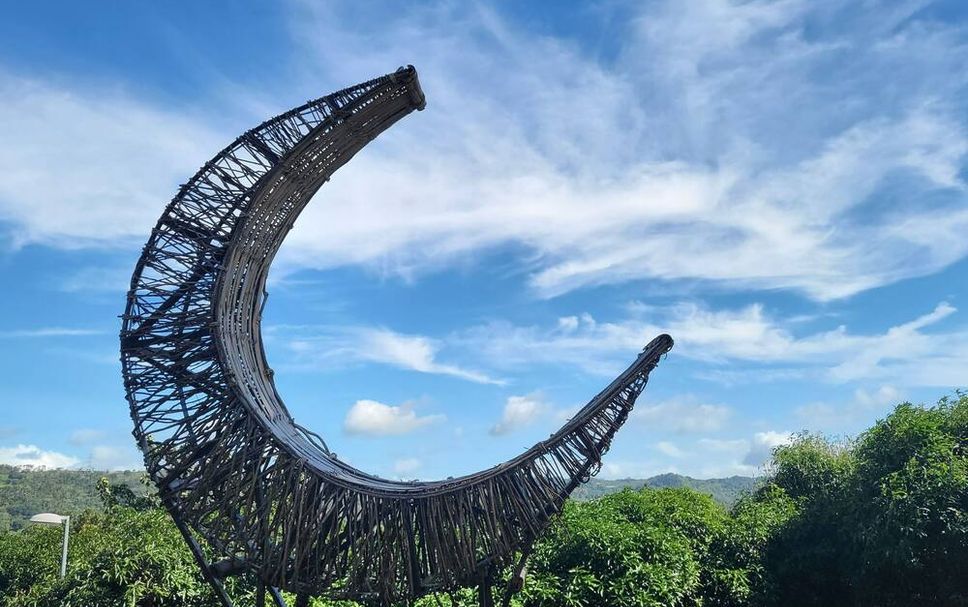 기타 사진