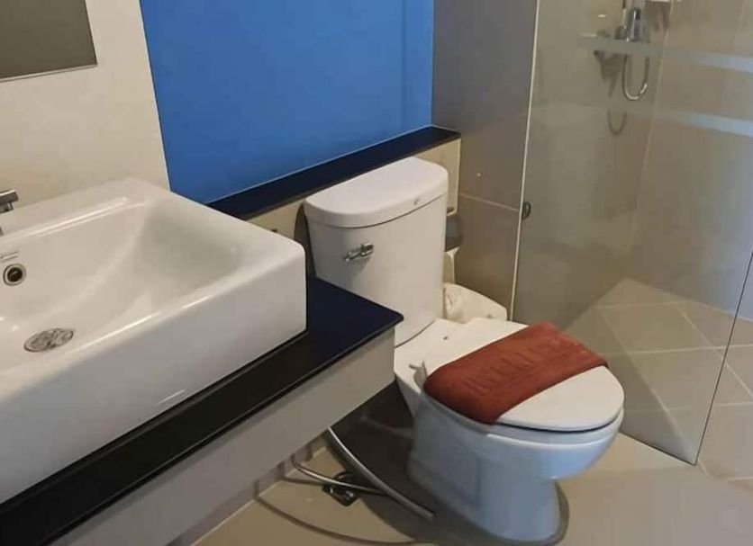 기타 사진