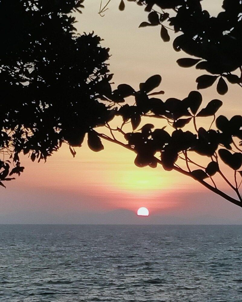 해변 사진