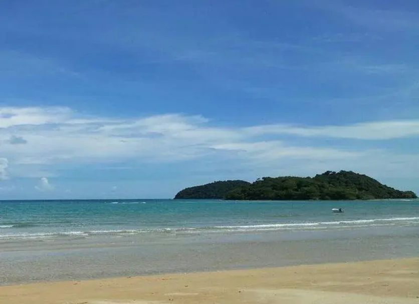해변 사진